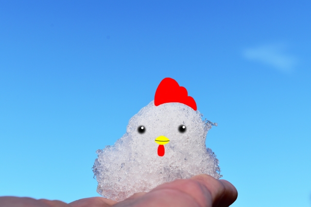 雪で作った鶏